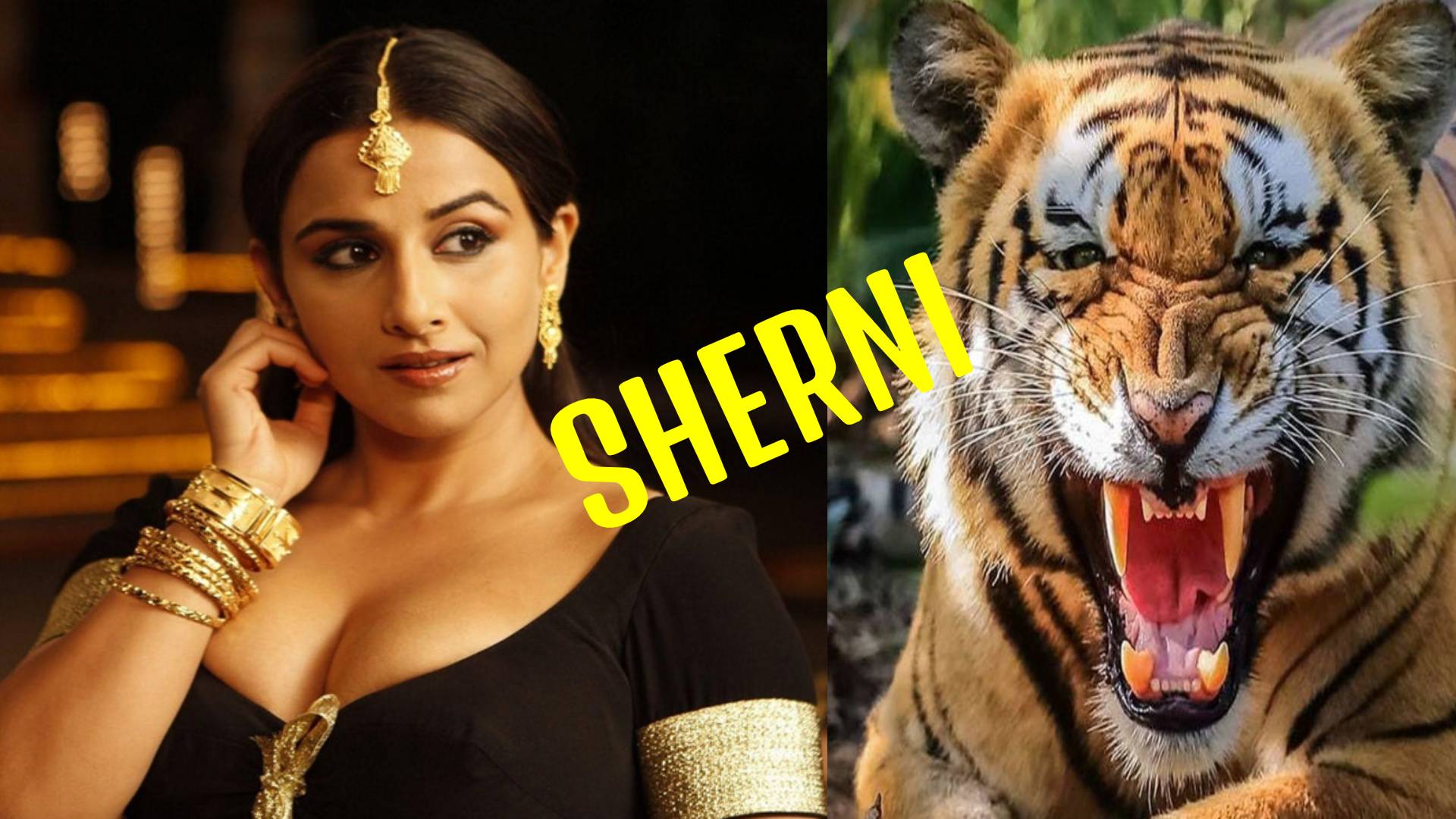Vidya Balan to star in Bollywood’s Sherni