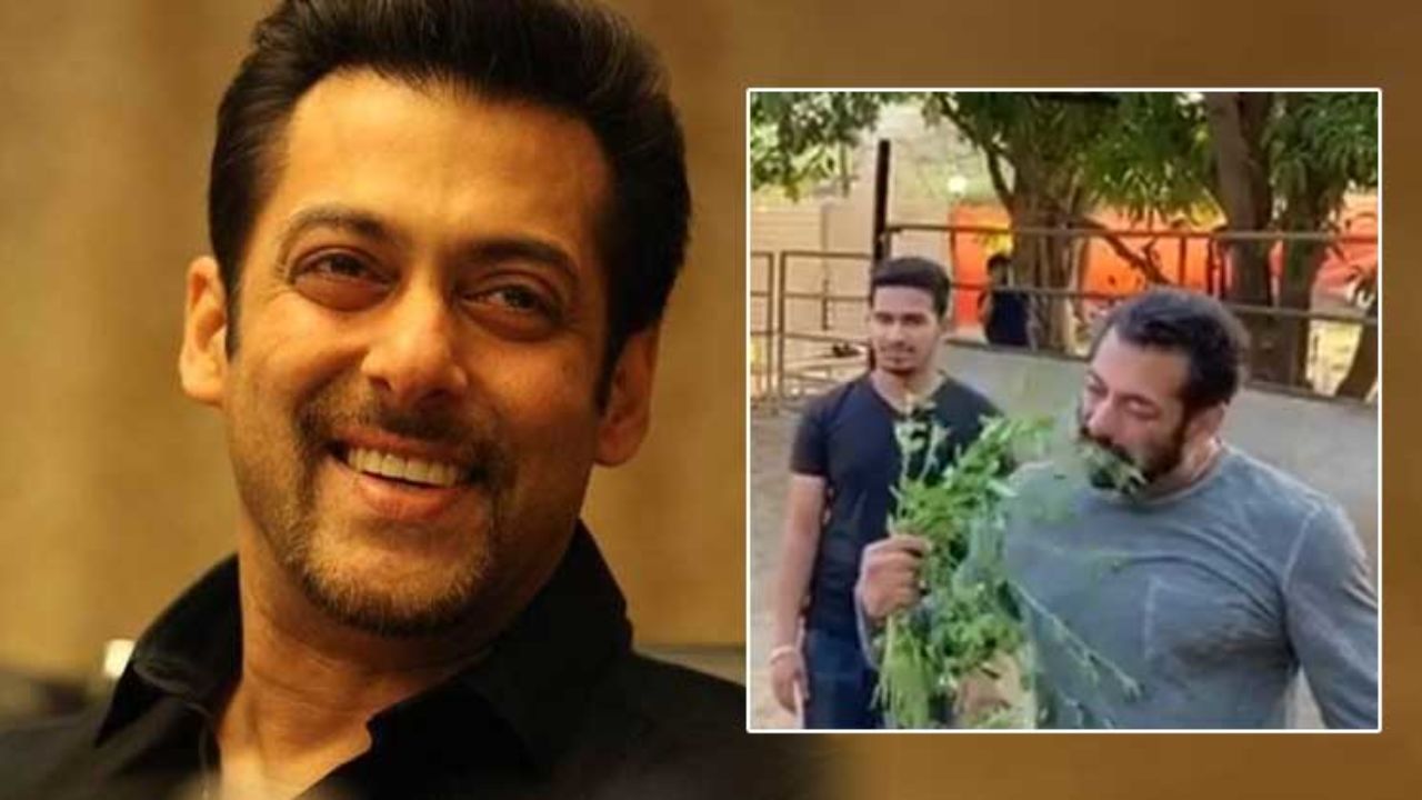 Salman Khan shares breakfast with his love during the quarantine