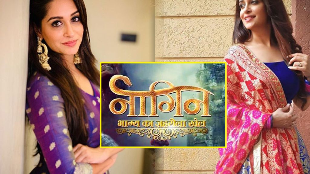 Dipika Kakkar to be the lead in Naagin 5? Know the truth!
