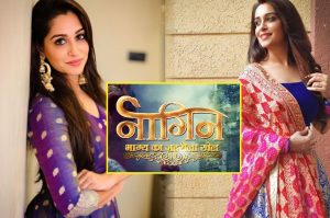 Dipika Kakkar to be the lead in Naagin 5? Know the truth!  