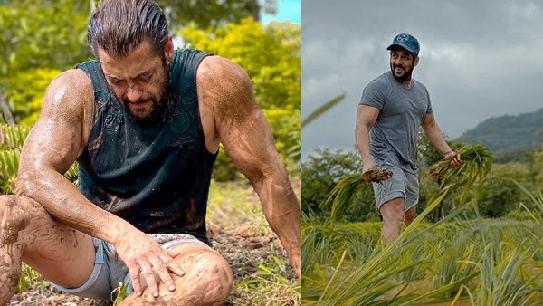 Bollywood superstar Salman Khan turns farmer midst the pandemic