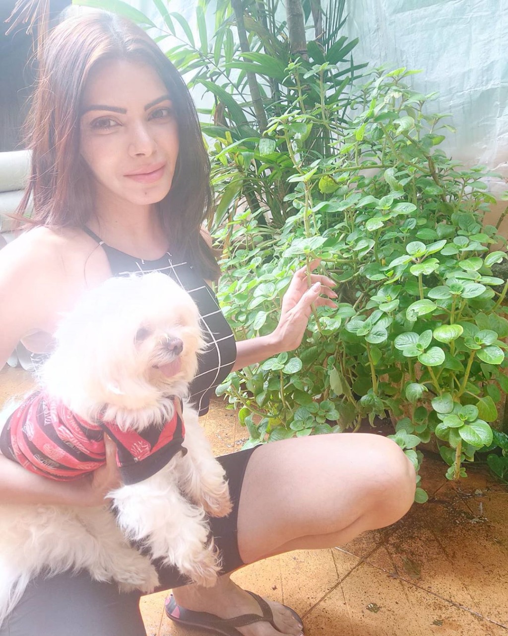 Hot actress Sherlyn Chopra gives a tour of her kitchen garden  