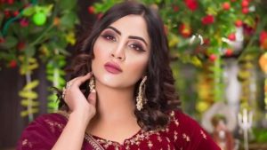 Bigg Boss 14: Arshi Khan Talks About Her Marriage Plans and Settling Down  