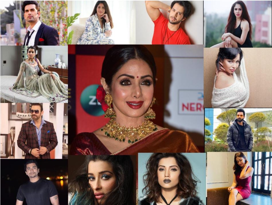 Sridevi's Death Anniversary: Popular TV actors remember Sridevi by their favorite film of the legend  