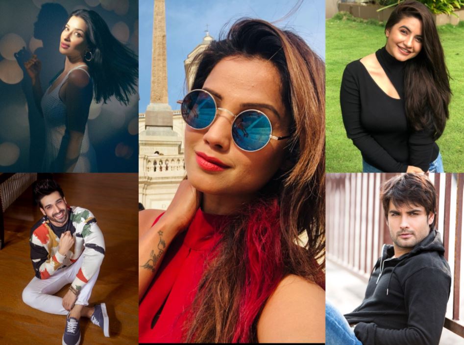 International Day of Happiness: Famous TV actors share their source of happiness | Vivian Dsena to Adaa Khan  