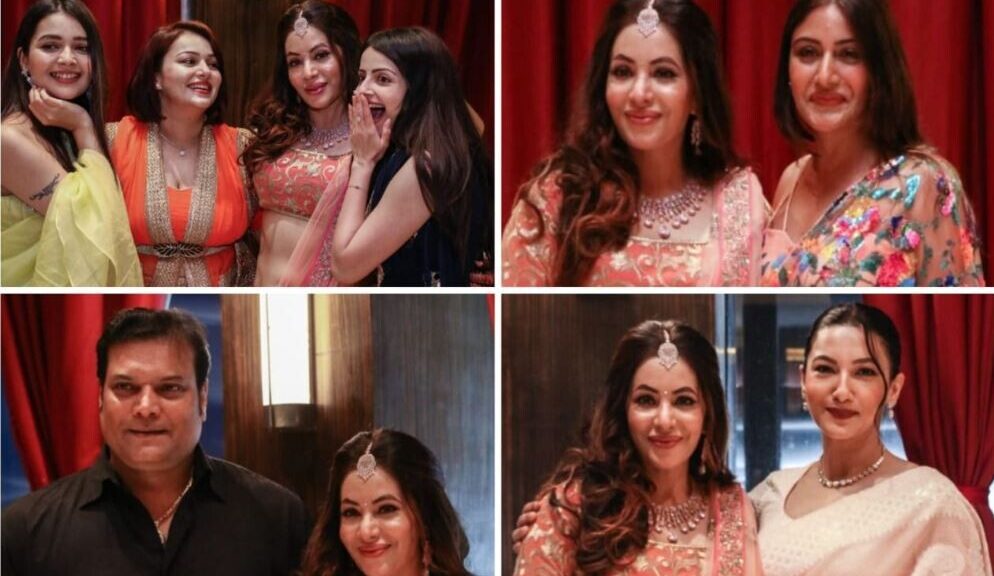 TV actress Mreenal Deshraj marries entrepreneur Ashim Matthan & hosts a star-studded reception