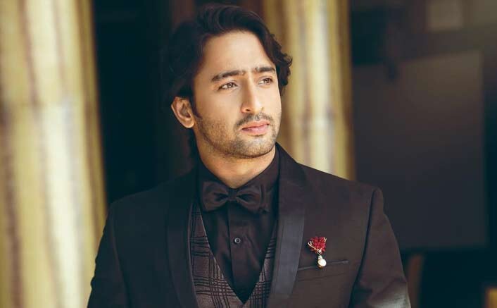 Actor Shaheer Sheikh To Take A Break From TV?